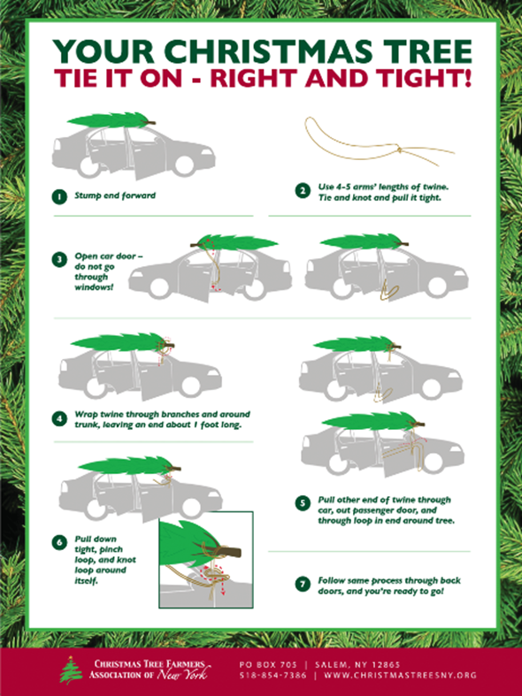 Christmas Tree Transportation Tips